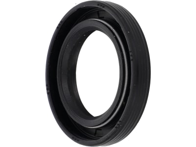 Briggs & Stratton Wellendichtring 43,0 x 25,4 für Quantum antriebsseitig 10, 11, 12, 399781S Briggs & Stratton Wellendichtring 43,0 x 25,4 für Quantum antriebsseitig 10, 11, 12, 399781S