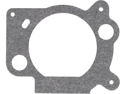 Briggs & Stratton Luftfilterdichtung für Intek™ 121682, 122602, 123672, 124602, 691 894 Briggs & Stratton Luftfilterdichtung für Intek™ 121682, 122602, 123672, 124602, 691 894