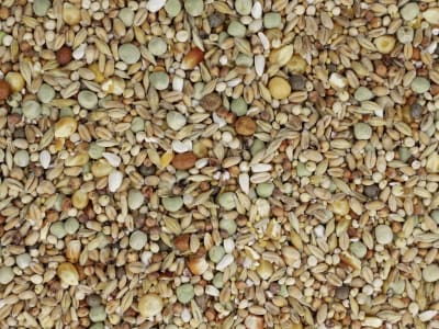 GALLUGOLD Tauben Vital OG Körner 25 kg Sack GALLUGOLD Tauben Vital OG Körner 25 kg Sack