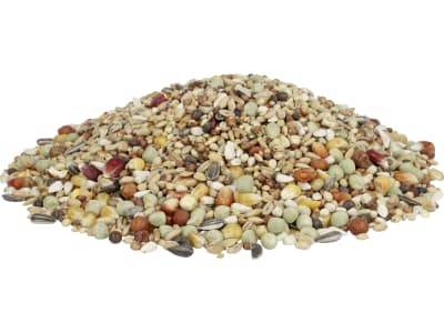 GALLUGOLD Tauben Allround Fit OG Taubenfutter für Zuchttiere und Brieftauben mit schneller Energieversorgung Körner 25 kg Sack GALLUGOLD Tauben Allround Fit OG Taubenfutter für Zuchttiere und Brieftauben mit schneller Energieversorgung Körner 25 kg Sack