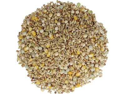 GALLUGOLD Tauben Standard OG Taubenfutter als Ganzjahresfutter und als Basisfutter für Zucht und Reise Körner 25 kg Sack GALLUGOLD Tauben Standard OG Taubenfutter als Ganzjahresfutter und als Basisfutter für Zucht und Reise Körner 25 kg Sack