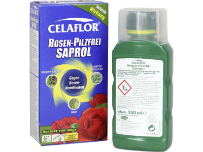 Evergreen Rosen-Pilzfrei Saprol Konzentrat 250 ml Flasche gegen Pilzkrankheiten an Rosen, wie Echten Mehltau, Sternrußtau und Rost 