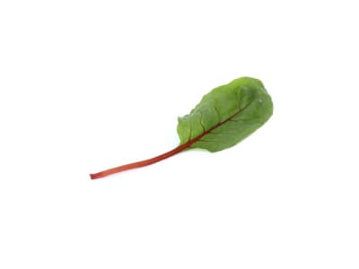 Babyleaf Mangoldsamen Pluton Babyleaf Mangoldsamen Pluton