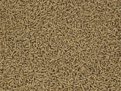 GALLUGOLD Hähnchenkorn Premium C OG pelletiertes Alleinfuttermittel mit Kokzidiostatikum für Mastgeflügel, Mastfutter für Hähnchen und Broiler 20 kg Sack GALLUGOLD Hähnchenkorn Premium C OG pelletiertes Alleinfuttermittel mit Kokzidiostatikum für Mastgeflügel, Mastfutter für Hähnchen und Broiler 20 kg Sack