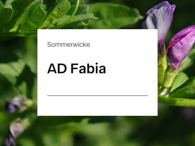 Sommerwicken Saatgut AD Fabia ZS 25 kg Sack Sommerwicken Saatgut AD Fabia ZS 25 kg Sack