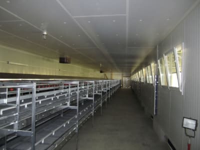 Geflügelstall, Gebäudehülle/komplett schlüsselfertig Geflügelstall, Gebäudehülle/komplett schlüsselfertig