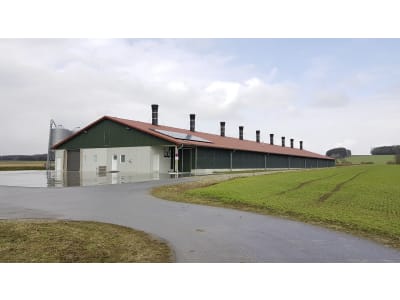 Geflügelstall, Gebäudehülle/komplett schlüsselfertig Geflügelstall, Gebäudehülle/komplett schlüsselfertig