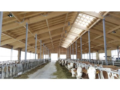 Milchviehstall, komplett schlüsselfertig Milchviehstall, komplett schlüsselfertig