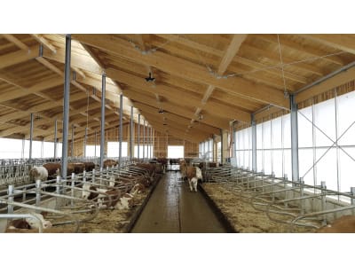 Milchviehstall, komplett schlüsselfertig Milchviehstall, komplett schlüsselfertig