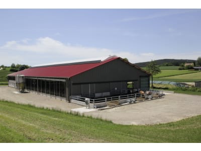 Milchviehstall, komplett schlüsselfertig Milchviehstall, komplett schlüsselfertig