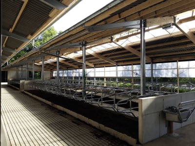 Milchviehstall, komplett schlüsselfertig Milchviehstall, komplett schlüsselfertig