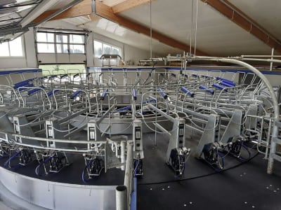 Milchviehstall, komplett schlüsselfertig Milchviehstall, komplett schlüsselfertig