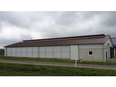 Kälberstall/Jungviehstall, Gebäudehülle/komplett schlüsselfertig Kälberstall/Jungviehstall, Gebäudehülle/komplett schlüsselfertig