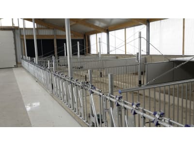 Kälberstall/Jungviehstall, Gebäudehülle/komplett schlüsselfertig Kälberstall/Jungviehstall, Gebäudehülle/komplett schlüsselfertig