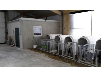 Kälberstall/Jungviehstall, Gebäudehülle/komplett schlüsselfertig Kälberstall/Jungviehstall, Gebäudehülle/komplett schlüsselfertig