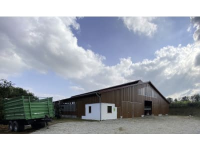 Kälberstall/Jungviehstall, Gebäudehülle/komplett schlüsselfertig Kälberstall/Jungviehstall, Gebäudehülle/komplett schlüsselfertig