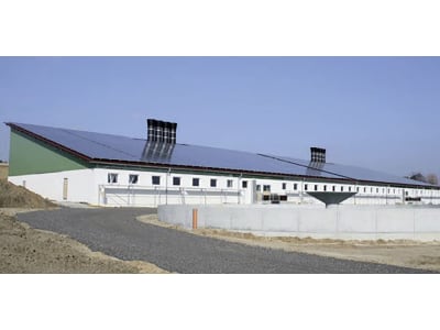 Schweinestall, Gebäudehülle/komplett schlüsselfertig Schweinestall, Gebäudehülle/komplett schlüsselfertig
