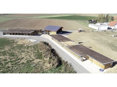 Schweinestall, Gebäudehülle/komplett schlüsselfertig Schweinestall, Gebäudehülle/komplett schlüsselfertig
