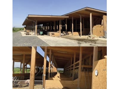 Schweinestall, Gebäudehülle/komplett schlüsselfertig Schweinestall, Gebäudehülle/komplett schlüsselfertig