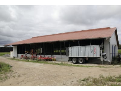 Bullenstall, Gebäudehülle/komplett schlüsselfertig Bullenstall, Gebäudehülle/komplett schlüsselfertig