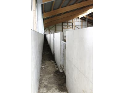 Bullenstall, Gebäudehülle/komplett schlüsselfertig Bullenstall, Gebäudehülle/komplett schlüsselfertig