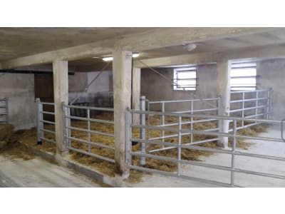 Bullenstall, Gebäudehülle/komplett schlüsselfertig Bullenstall, Gebäudehülle/komplett schlüsselfertig