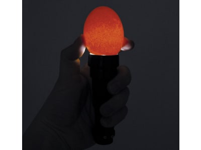 KERBL LED-Schierlampe 150 lm, batteriebetrieben, 73126 KERBL LED-Schierlampe 150 lm, batteriebetrieben, 73126