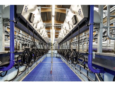 DeLaval Parallelmelkstand