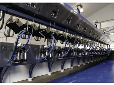 DeLaval Parallelmelkstand