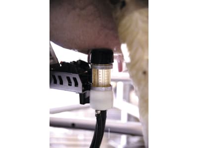 DeLaval Melkroboter "VMS V300" automatisch