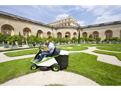 ETESIA Aufsitzmäher "Bahia Electric" Akku Schnittbreite 80 cm