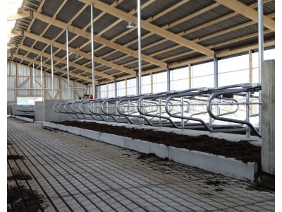 Liegeboxenbügel für Milchvieh-, Jungvieh-, Bullen- oder Kälberstall Liegeboxenbügel für Milchvieh-, Jungvieh-, Bullen- oder Kälberstall