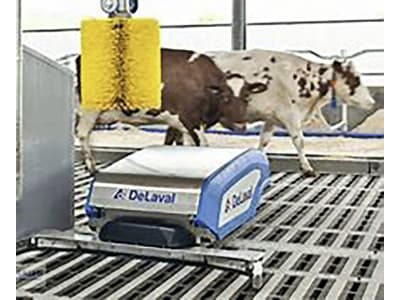 DeLaval Entmistungsroboter "RS 450 WS" mit Wasser, Spaltenschieber