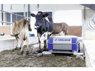 DeLaval Entmistungsroboter für bis zu 130 Kühe 