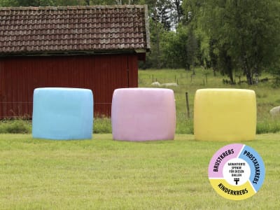 Triowrap® Trioplus® 1900 RS Stretchfolie CHARITY N/A Premium Plus Stretchfolie, für Rund- und Quaderballen in allen Größen, PE PreTech® Folie Triowrap® Trioplus® 1900 RS Stretchfolie CHARITY N/A Premium Plus Stretchfolie, für Rund- und Quaderballen in allen Größen, PE PreTech® Folie
