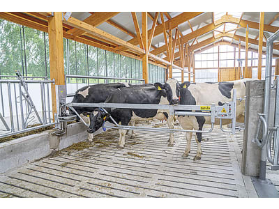 Abtrennung für Milchviehstall, Kälberstall, Jungviehstall, Bullenstall Abtrennung für Milchviehstall, Kälberstall, Jungviehstall, Bullenstall