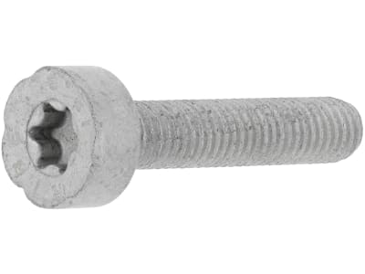 STIHL Torxschraube M 5 x 25 mm - 12.9, für Bodenfräse, Gesteinschneider, Heckenschere, Hochentaster, Kettensäge, Motorsense, 9022 371 1050