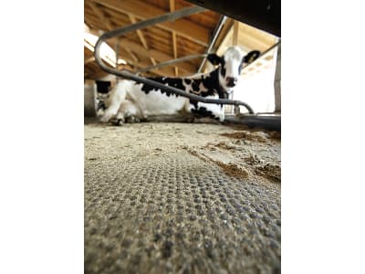 Kraiburg Stallmatte "Wela" für Kühe und Jungrinder Kraiburg Stallmatte "Wela" für Kühe und Jungrinder
