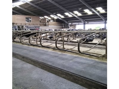 Kraiburg Stallmatte "Wela" für Kühe und Jungrinder Kraiburg Stallmatte "Wela" für Kühe und Jungrinder