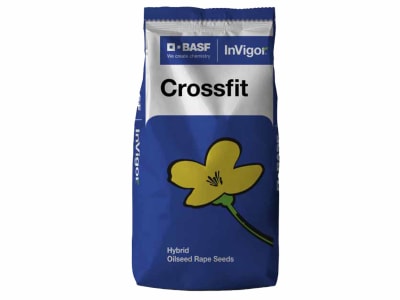 Winterraps Saatgut BASF CROSSFIT Scenic Gold + Integral Pro + Lumiposa 1.5 Mio. Körner/EH (Kohlhernie resistent) Winterraps Saatgut BASF CROSSFIT Scenic Gold + Integral Pro + Lumiposa 1.5 Mio. Körner/EH (Kohlhernie resistent)