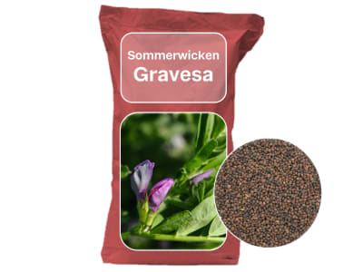 Sommerwicke Saatgut Gravesa 81 Z2 25 kg Sack Sommerwicke Saatgut Gravesa 81 Z2 25 kg Sack