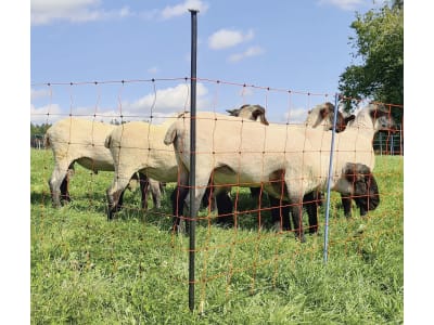 KERBL Unterstützungspfahl für Weidenetze, Einzelspitze