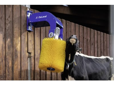 DeLaval Kuhbürste "SCB 3.1" 500 x 1.320 x 1.000 mm, Borstenbesatz Kunststoff, gelb, 180 mm, für bis zu 60 Kühe, 2150015825 DeLaval Kuhbürste "SCB 3.1" 500 x 1.320 x 1.000 mm, Borstenbesatz Kunststoff, gelb, 180 mm, für bis zu 60 Kühe, 2150015825
