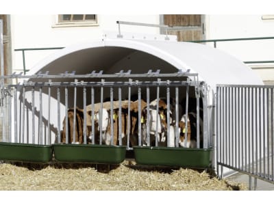 KERBL Kälberiglu "CalfHouse Premium XXL" für 7 Kälber, mit Umzäunung, 14540