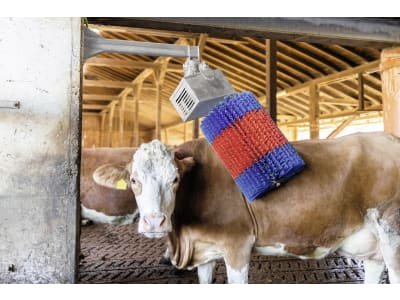 HappyCow Kuhputzmaschine "MidiSwing" Borstenbesatz PP (Polypropylen), 18850 HappyCow Kuhputzmaschine "MidiSwing" Borstenbesatz PP (Polypropylen), 18850