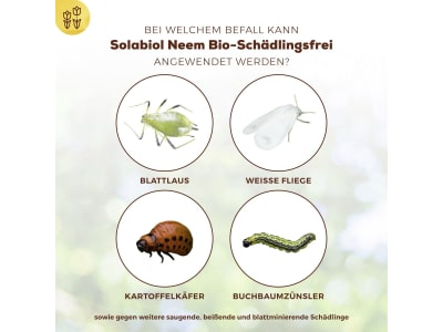 Solabiol Neem Bio-Schädlingsfrei 30 ml  biologische Schädlingsbekämpfung an Zierpflanzen, Kräutern, Kartoffeln und Gemüse 