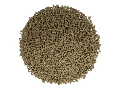  Karpfen Extensiv 3 press Fischfutter Karpfenfutter 3,3 mm Pellet 25 kg Sack