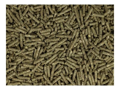 ringkanin Solo schmackhaftes Kaninchenfutter Nagerfutter, Hasenfutter für Zuchtkaninchen, Zwergkaninchen und Kleinnager Pellet 25 kg Sack ringkanin Solo schmackhaftes Kaninchenfutter Nagerfutter, Hasenfutter für Zuchtkaninchen, Zwergkaninchen und Kleinnager Pellet 25 kg Sack