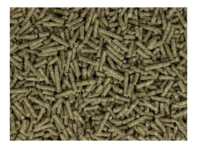 ringkanin Zucht (Vorteilspack) Kaninchenfutter, Nagerfutter, Hasenfutter für Zuchtkaninchen, Zwergkaninchen und Kleinnager Pellet 25 kg Sack ringkanin Zucht (Vorteilspack) Kaninchenfutter, Nagerfutter, Hasenfutter für Zuchtkaninchen, Zwergkaninchen und Kleinnager Pellet 25 kg Sack