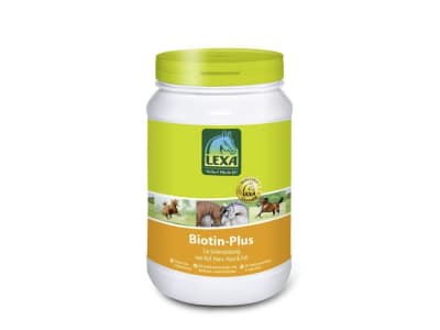 Lexa Biotin-Plus mit Wirkstoffen für die Hufe von Pferden Pellet 1 kg Dose Lexa Biotin-Plus mit Wirkstoffen für die Hufe von Pferden Pellet 1 kg Dose